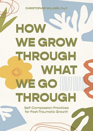 How We Grow Through What We Go Through by Christopher Willard Cover