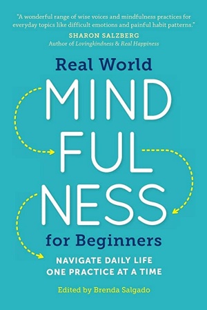 Real-World Mindfulness for Beginners by Brenda Salgado Cover
