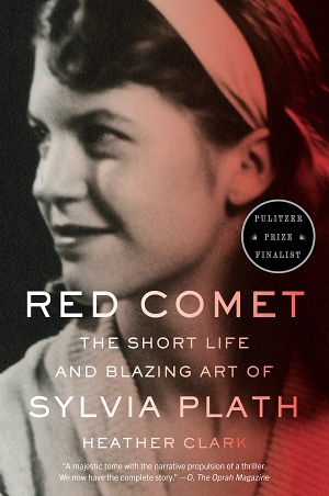 Red Comet by Heather Clark Cover