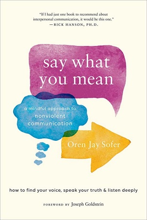 Say What You Mean by Oren Jay Sofer Cover